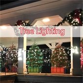 Tree Lighting