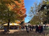 Fall festival
