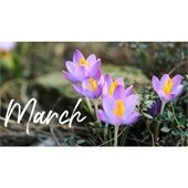 March