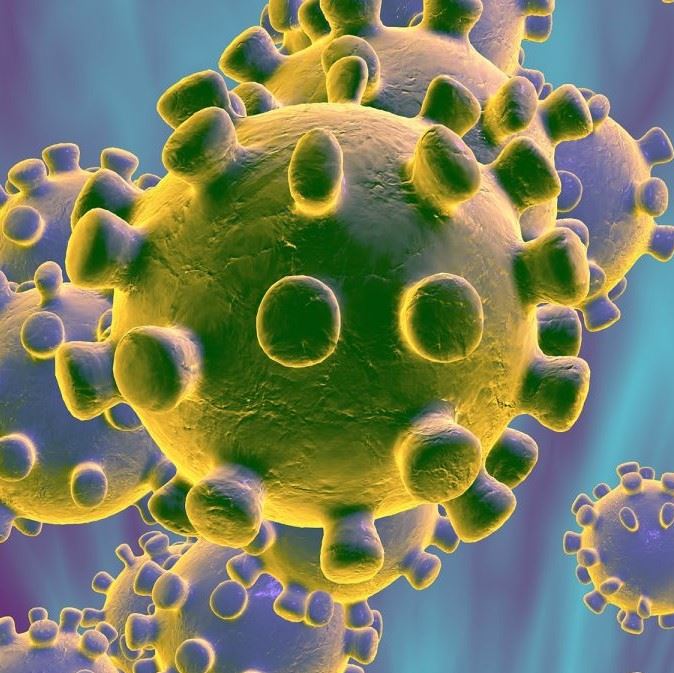 coronavirus